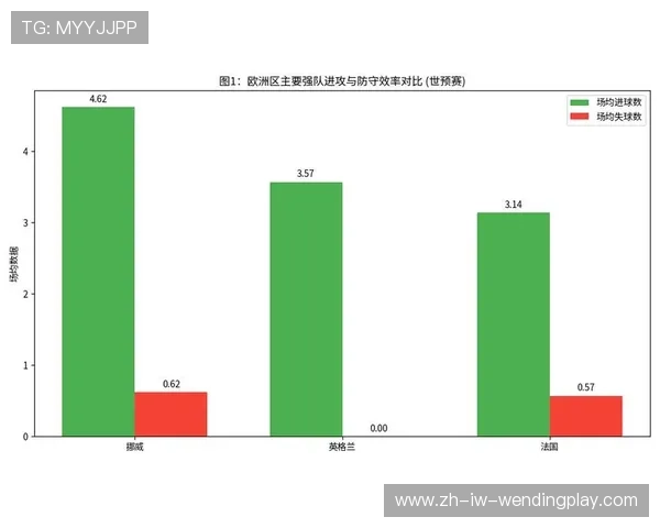 足球赛事中的数据分析与战术洞察